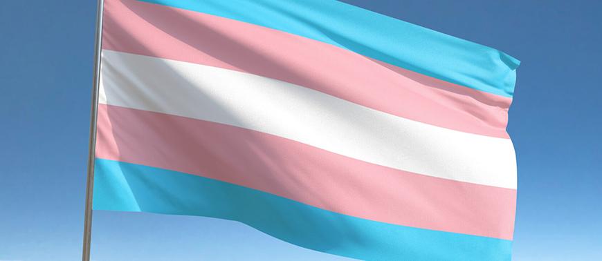 Trans Man Woman Pregnant Man Transgender Hysterectomy Mastectomy Transgendered Male 
